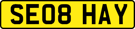 SE08HAY