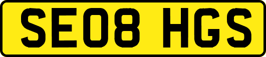 SE08HGS