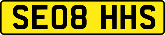 SE08HHS