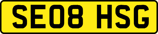 SE08HSG