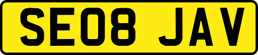 SE08JAV
