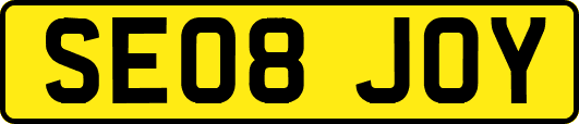 SE08JOY