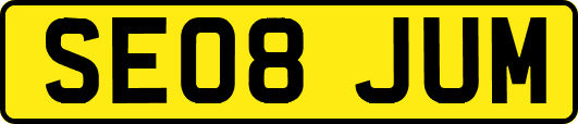 SE08JUM