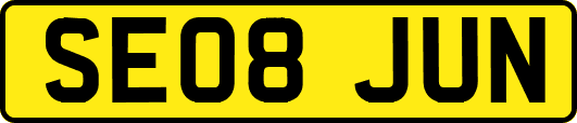 SE08JUN