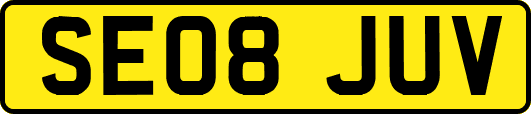 SE08JUV