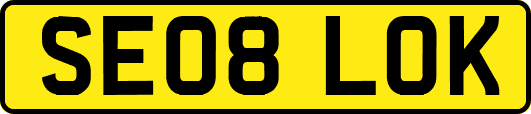 SE08LOK
