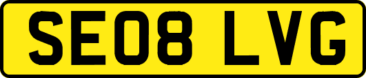 SE08LVG