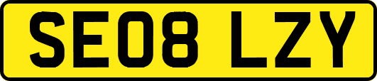 SE08LZY