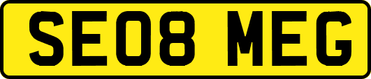 SE08MEG