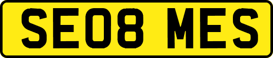 SE08MES