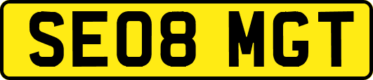 SE08MGT