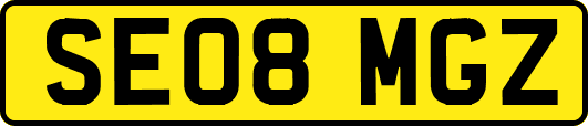 SE08MGZ