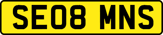 SE08MNS