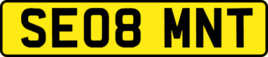 SE08MNT