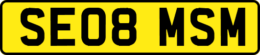 SE08MSM