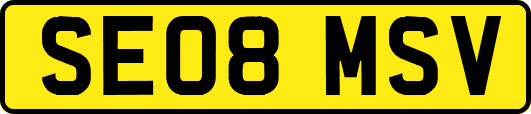 SE08MSV