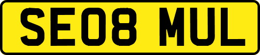 SE08MUL