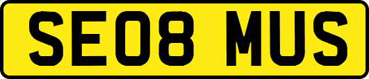 SE08MUS