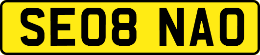 SE08NAO