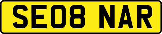 SE08NAR