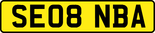 SE08NBA