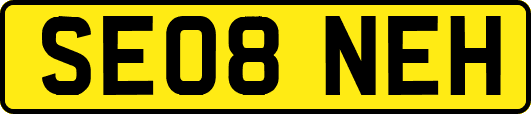 SE08NEH