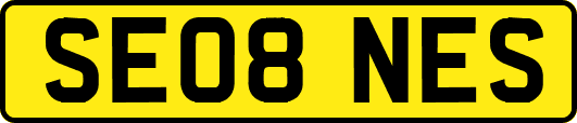 SE08NES