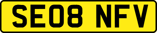 SE08NFV