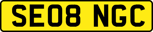 SE08NGC
