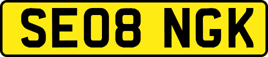 SE08NGK