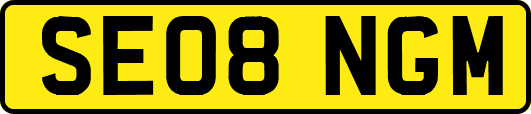 SE08NGM