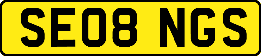 SE08NGS