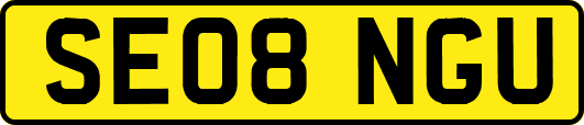 SE08NGU