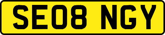 SE08NGY