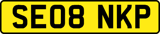 SE08NKP