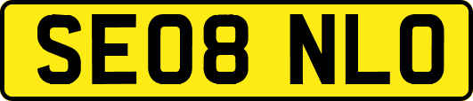 SE08NLO