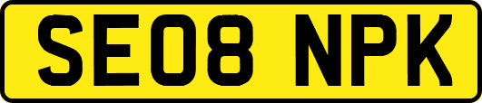 SE08NPK