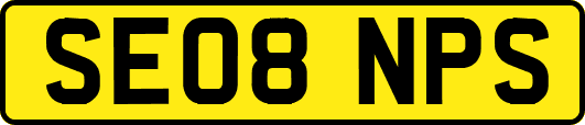 SE08NPS