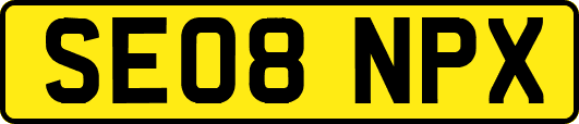 SE08NPX