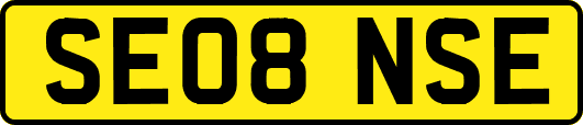 SE08NSE