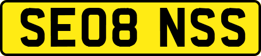SE08NSS