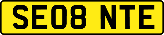 SE08NTE