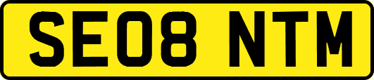 SE08NTM