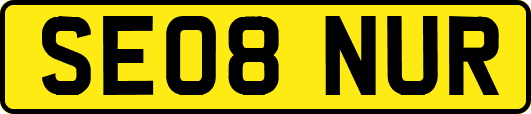 SE08NUR