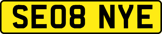 SE08NYE