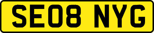 SE08NYG