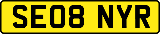 SE08NYR