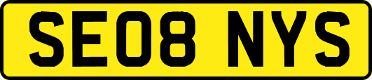 SE08NYS