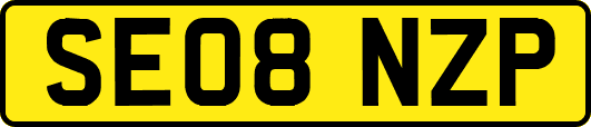 SE08NZP