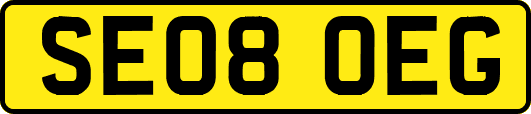 SE08OEG